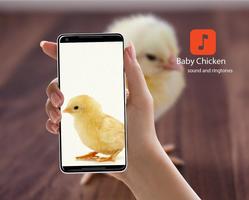 Baby Chicken Sounds Affiche