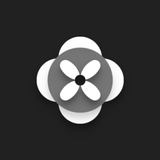Baccara icon