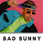 Bad Bunny Fans - Música y Discografía icon
