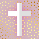 Bíblia Novo Testamento-APK