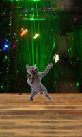 Dancing cat تصوير الشاشة 1