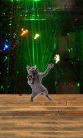 Dancing cat screenshot 1