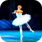 Learn ballet dance icon
