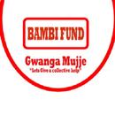 BAMBI FUND - Crowding Funding APK