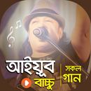 আইয়ুব বাচ্চু গান | LRB Songs APK