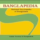 Banglapedia APK