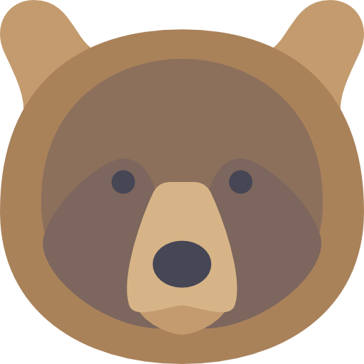 Bear VPN Browser - Simple and Fastest Browser VPN