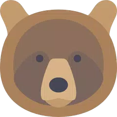 Bear VPN Browser - Simple and Fastest Browser VPN