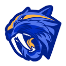 BARTX VPN APK