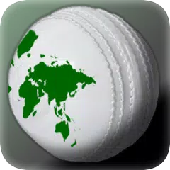 run Cricket Manager