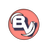 Basic VPN APK