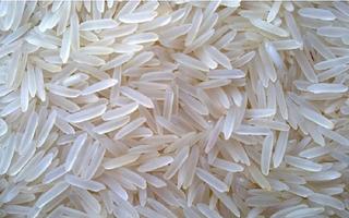 Basmati rice poster