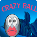 Crazy Ball