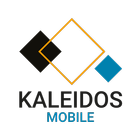 BIG Kaleidos icon