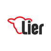 Lier icon