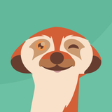 Lettr: photobooklets & papers APK