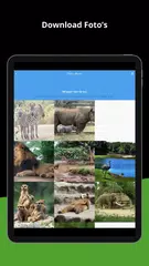 Descargar XAPK de gimme - oudercommunicatie