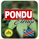 Pondu Elengi - SaphirPlus, Congo Kinshasa Belgique aplikacja