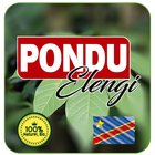 Pondu Elengi - SaphirPlus, Congo Kinshasa Belgique 圖標