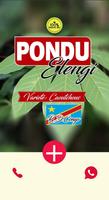 Pondu Elengi - SaphirPlus, Congo Kinshasa Belgique 海報