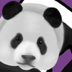 InstaMeasure icon