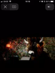 BSF - Brussels Summer Festival APK download