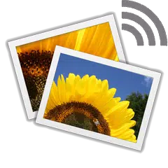Digital Photo Frame Slideshow XAPK download