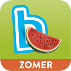 Zomerbingel icon