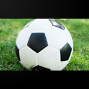 Statarea Football betting tips APK