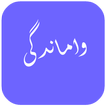 ”رمان زیبا واماندگی