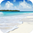 Beach Video Live Wallpaper أيقونة