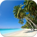 Beach HD Video Live Wallpaper APK