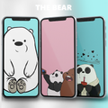 Cute Bear Wallpaper
