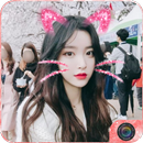 Filter for ulike APK