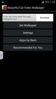 Beautiful Cat Video Wallpaper স্ক্রিনশট 3