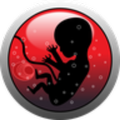 My pregnancy