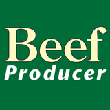 Beef Producer icône