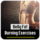 Belly Fat Burning Exercises icône