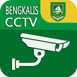 CCTV KABUPATEN BENGKALIS