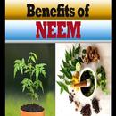 Benefits of Neem leaf APK