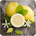 Benefits of lemon