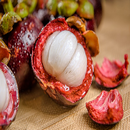 Mangosteen For Health APK