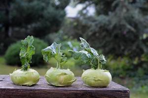 Kohlrabi For Health poster