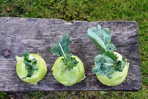 Kohlrabi For Health Ekran Görüntüsü 1