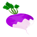 Shalgam For Health APK