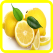 Uses and Benefits of Lemon