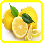 Icona Usi e benefici del limone
