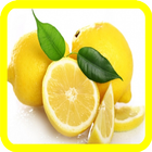 Limonun Kullanımları ve Yararları simgesi