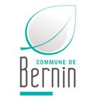 Bernin malin icon