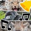 Best Animal Ringtones & Sounds APK